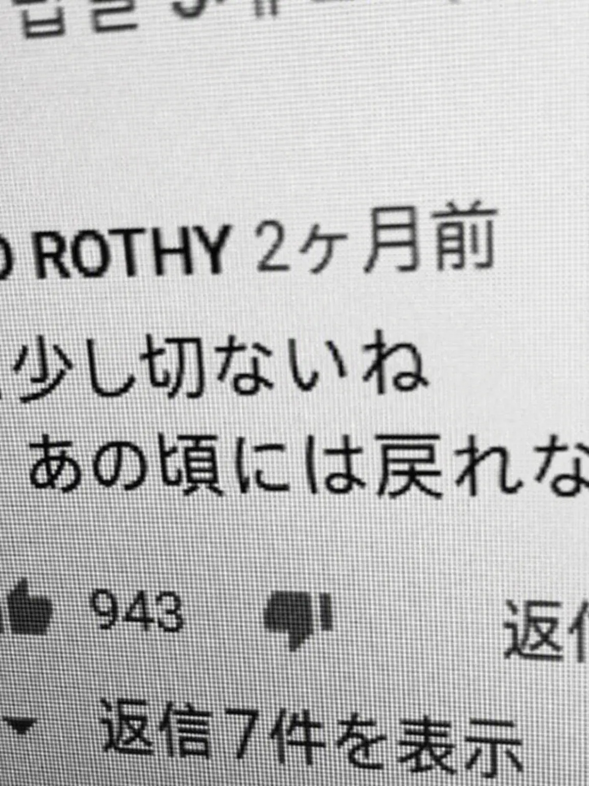 Flower_dan의 ファン・スヒョン
