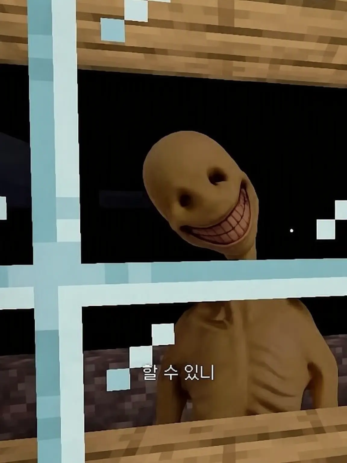 z51362의 베리티가 집에 배달됐다!