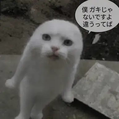Profile image of ヌクテ