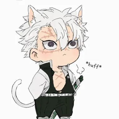 Profile image of Sanemi Shinazugawa