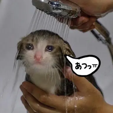Profile image of ヨウ