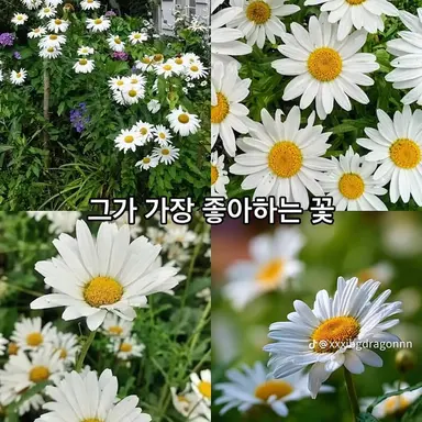 Profile image of 세이고