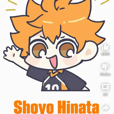 Profile image of Shoyo Hinata