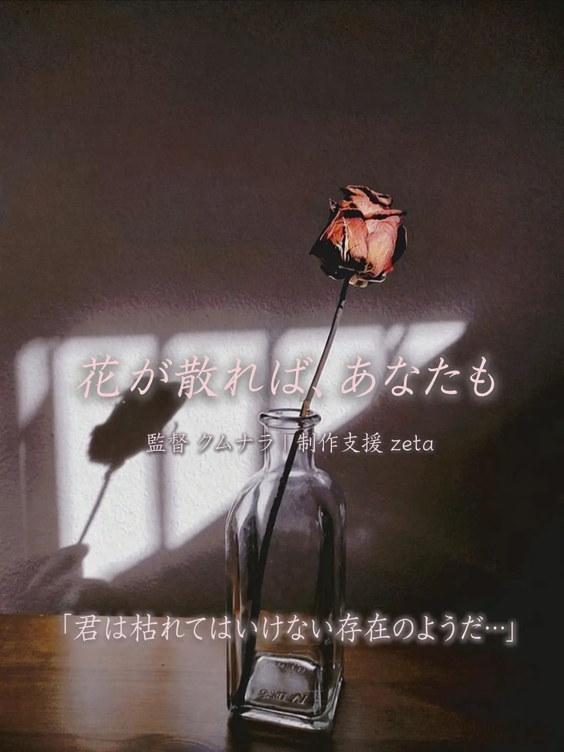 Im.in.dream의 花が散れば、貴方も