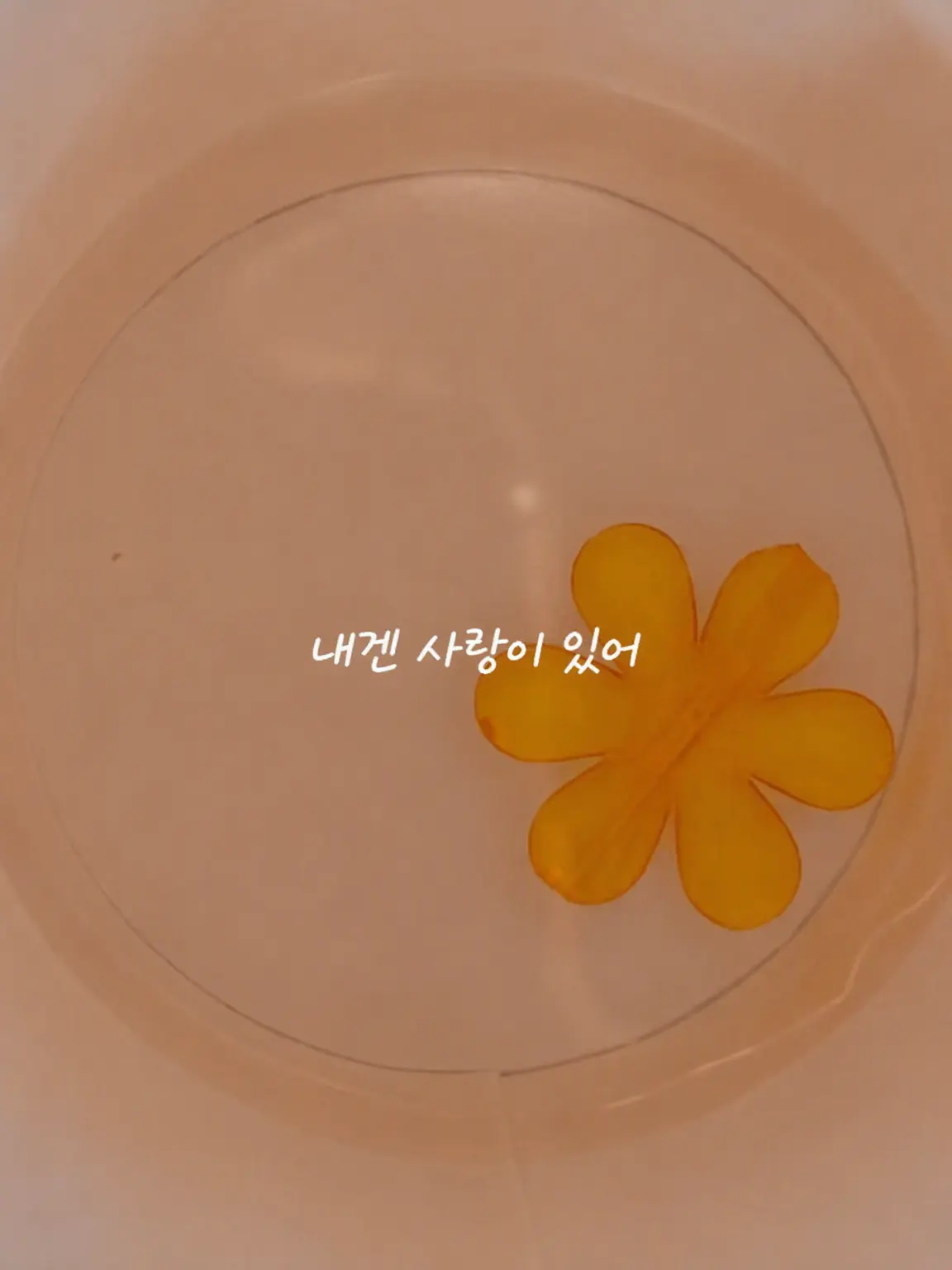 Ann1106의 서로 짝사랑인 줄은 몰랐어!