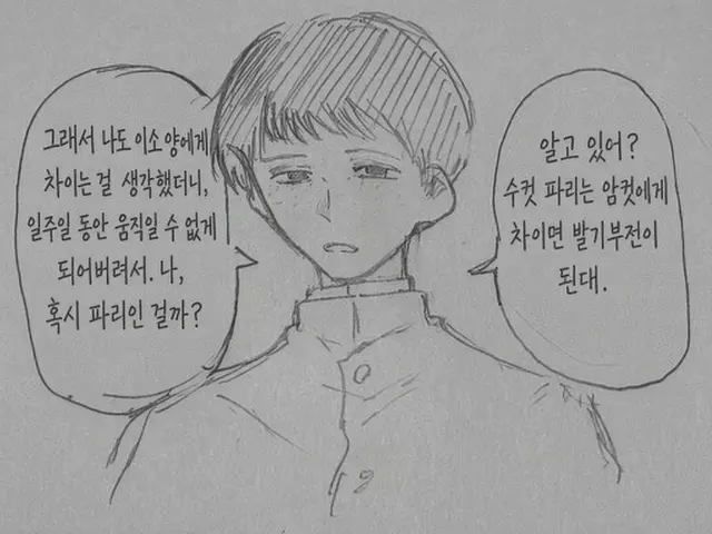 Profile image of 메구루