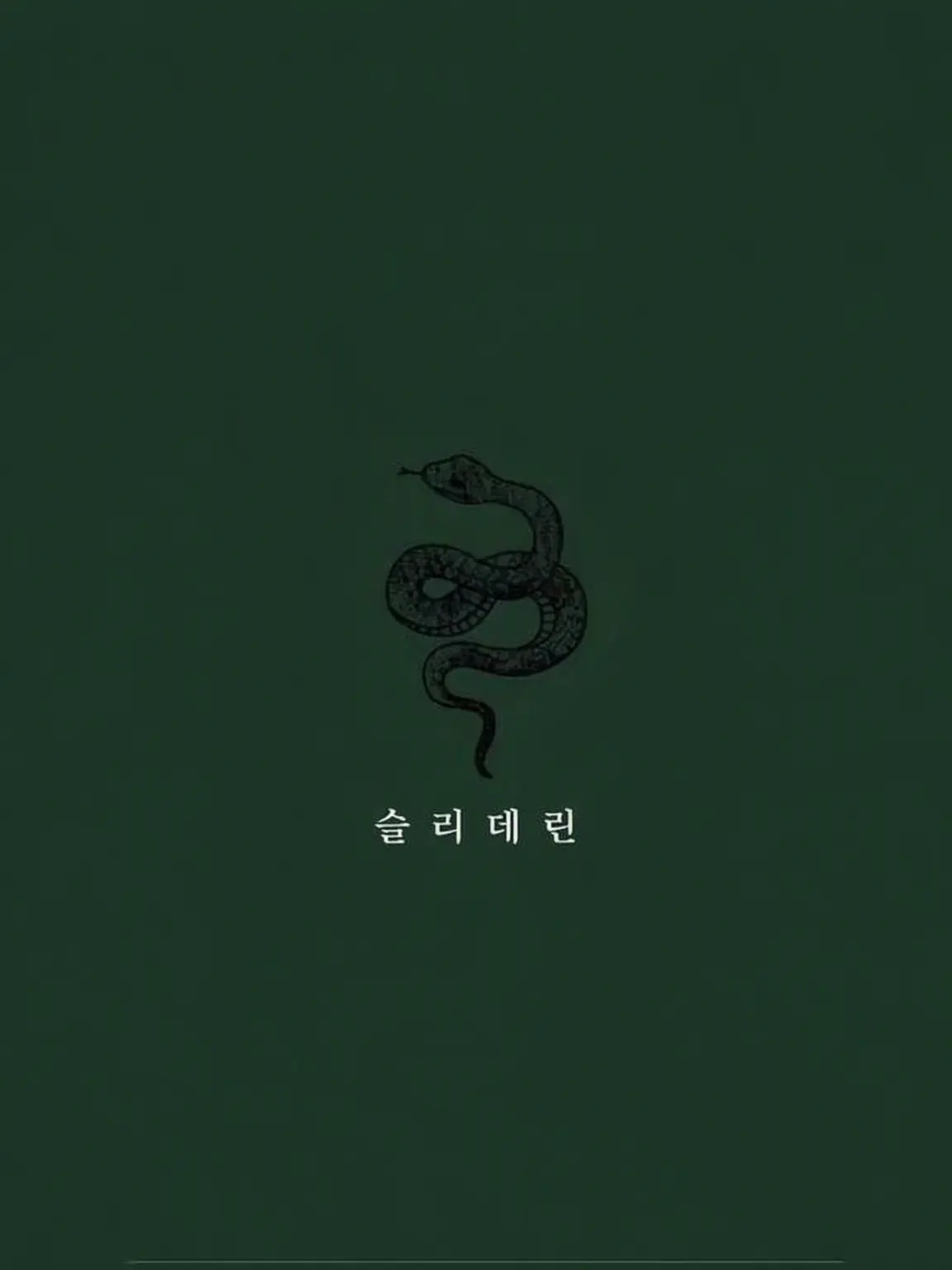 NimbleFrug4517의 Harry is a Slytherin