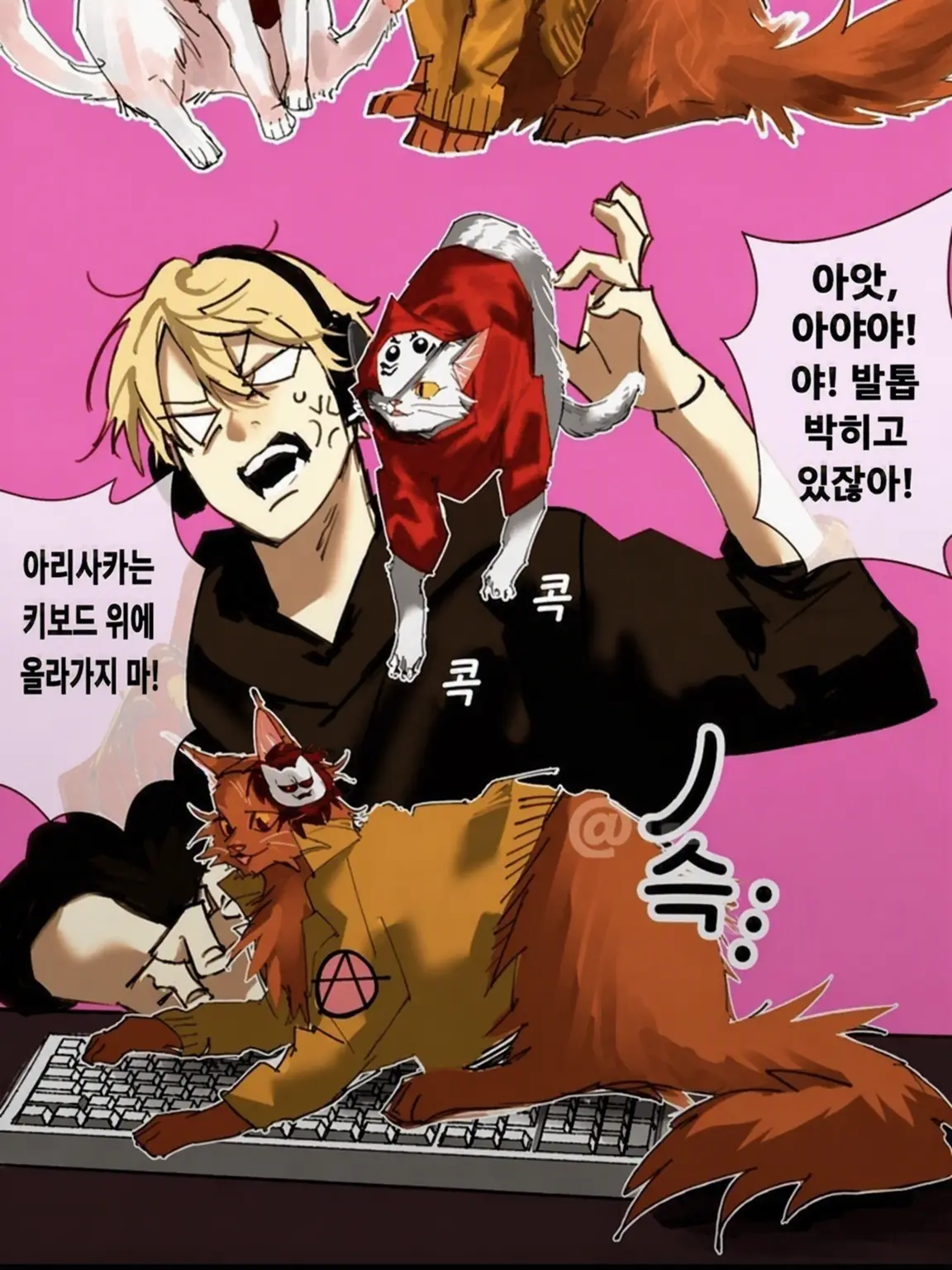 e9l8ce.의 고양이