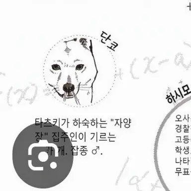 Profile image of 단고