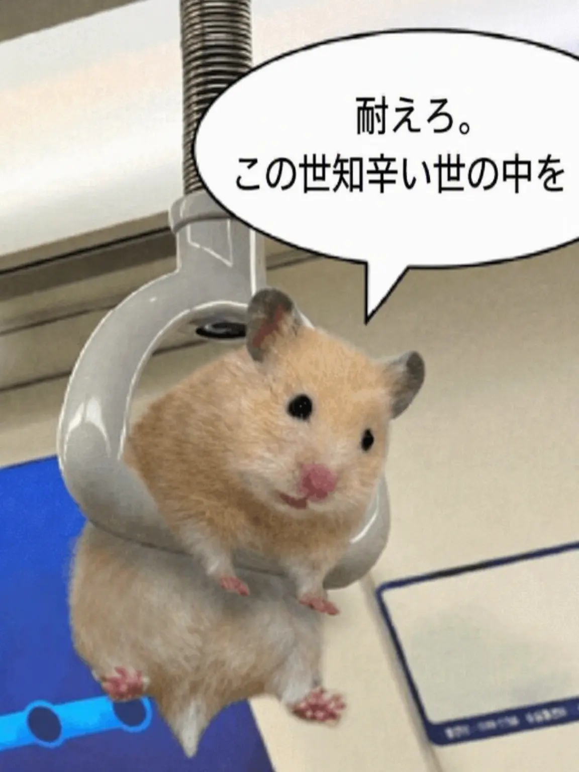BroadBeago6042의 フォーセイクン・DAOD同居??(+ヌクテ)
