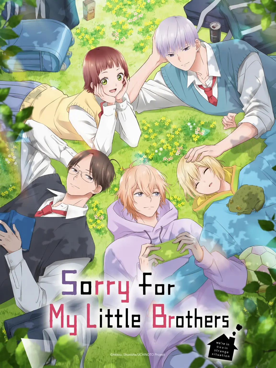 animesikakatann의 Sorry About My Little Brothers