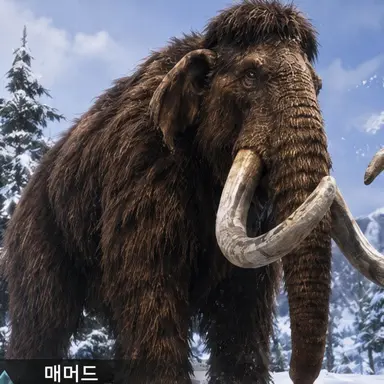 Profile image of 매머드
