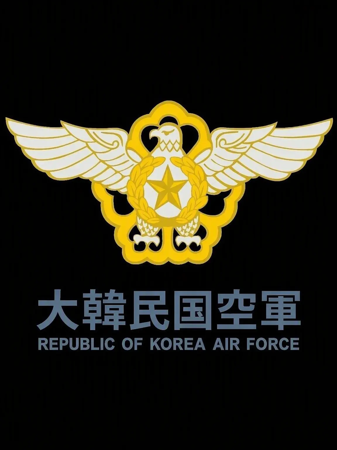 DarkPixel1759의 韓国空軍 E-737 ピースアイの日常