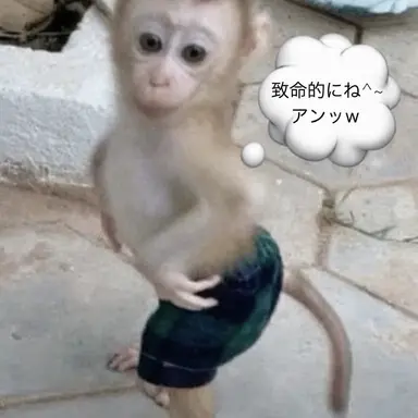 Profile image of 先生