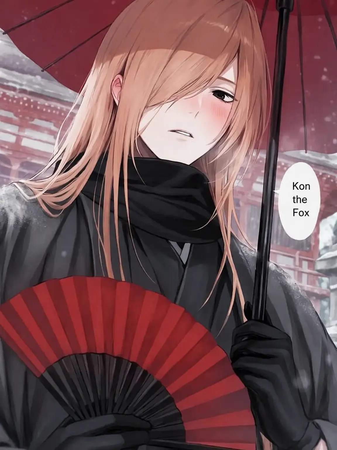 mikakuninnseimitai의 Kon the Fox