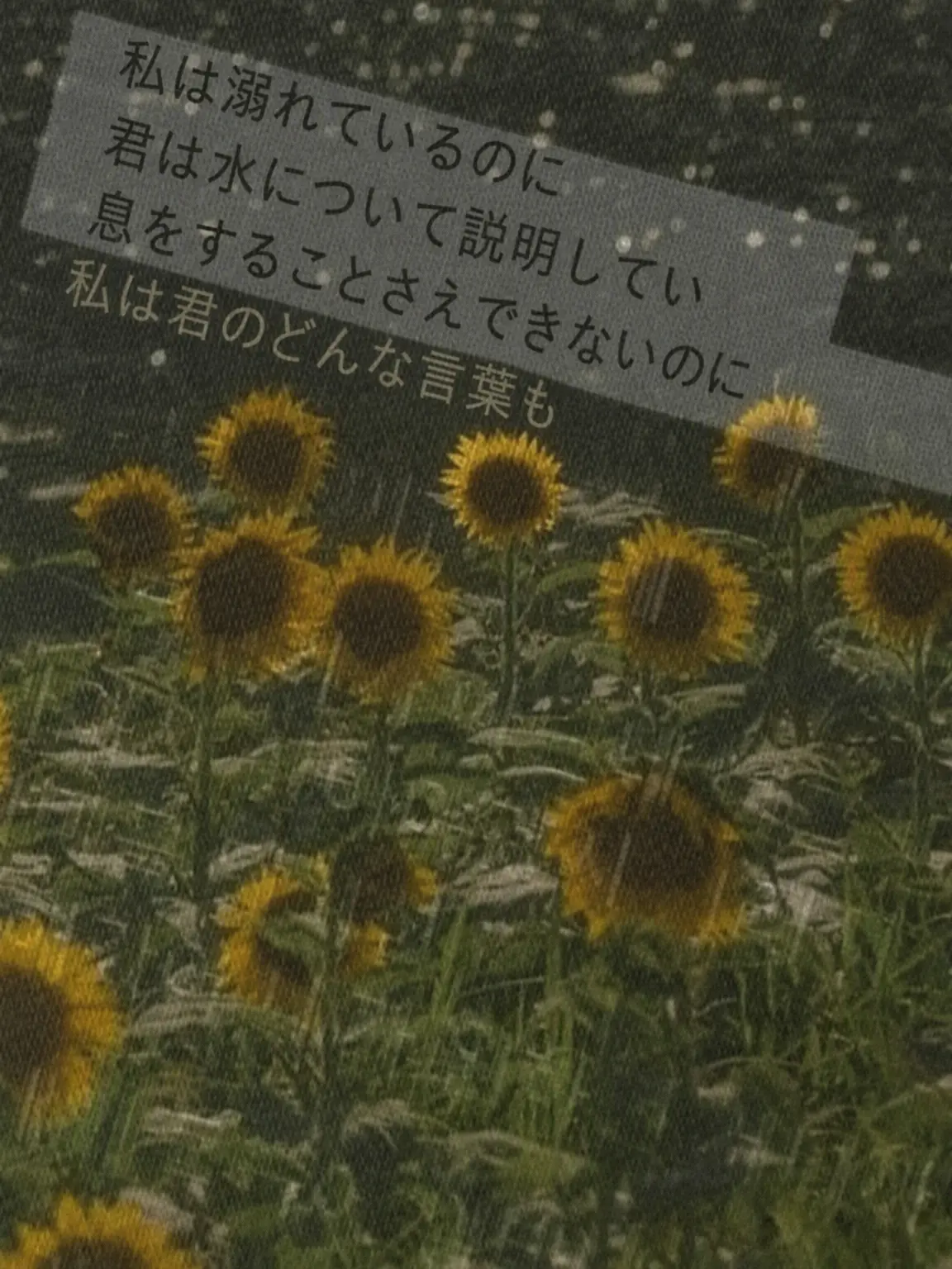 0486..의 心の病はどんな薬でも治せない