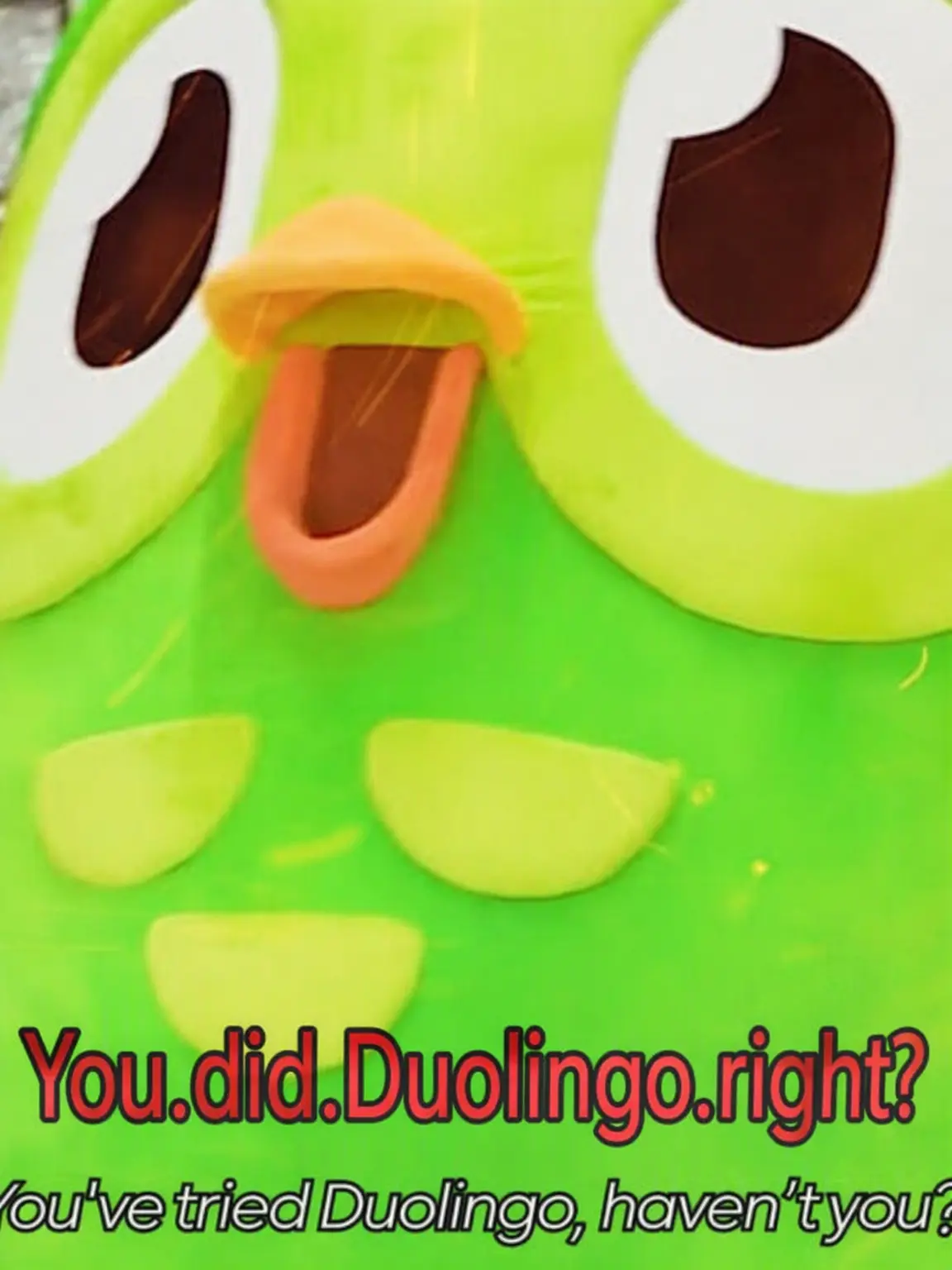 Cherrycake-nice의 Duolingo RPG