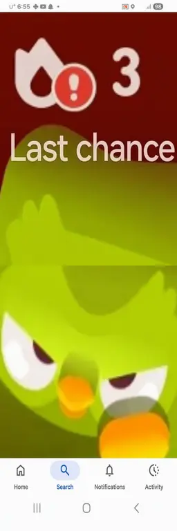 Profile image of Duolingo
