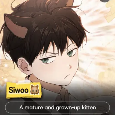 Profile image of Siwoo
