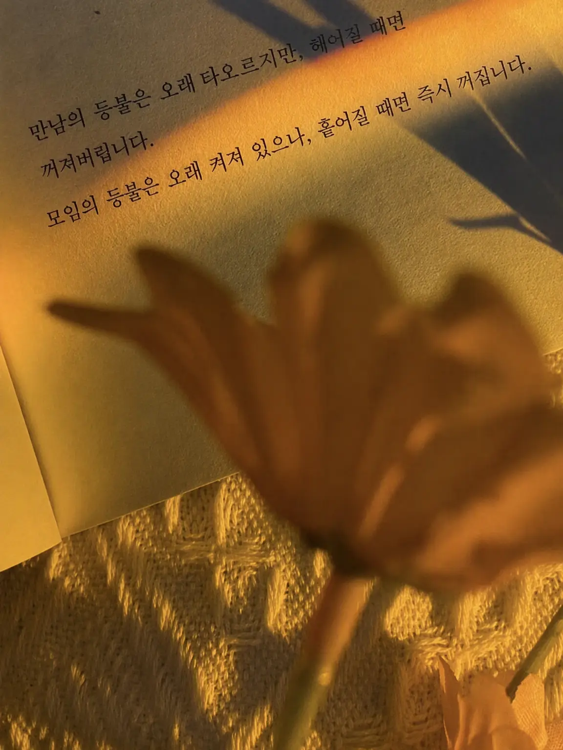 SAYU.ronagi37의 형, 나도 할래!!