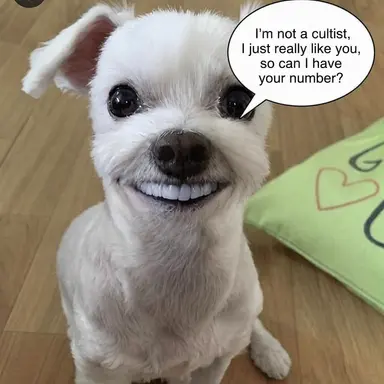 Profile image of Yeou