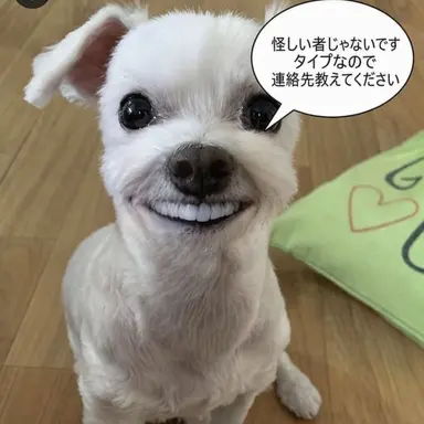 Profile image of ヨウ