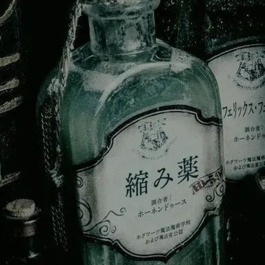 Profile image of セブルス・スネイプ