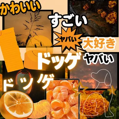 Profile image of ドッケ