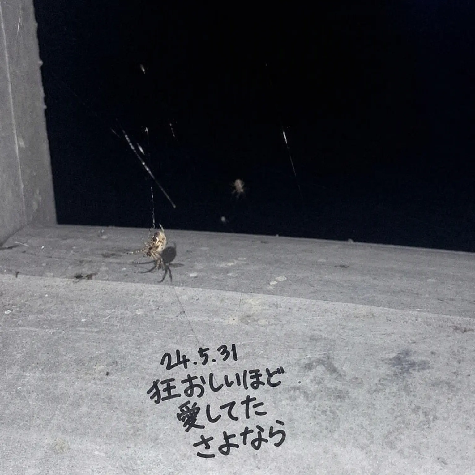 code-0001의 孤立無援