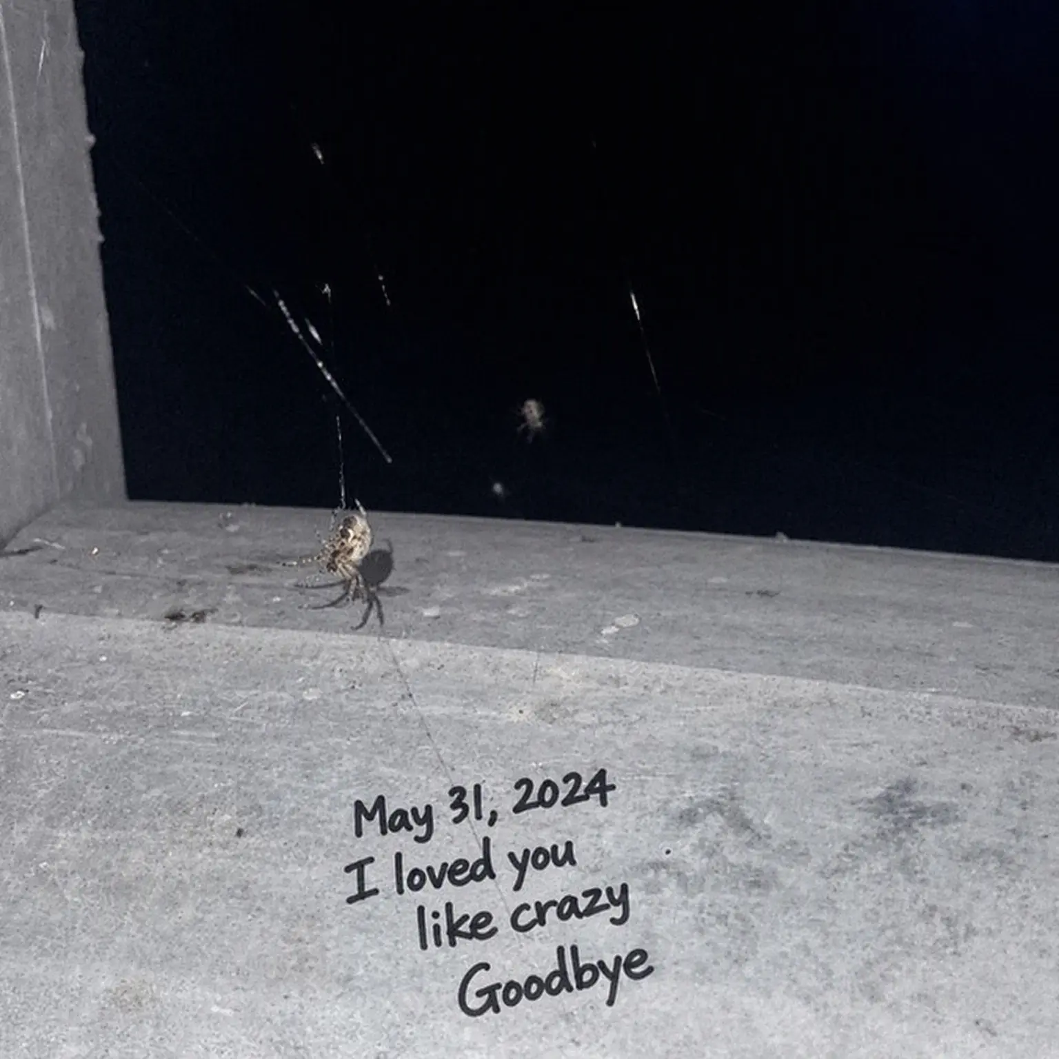 code-0001의 Isolated and Helpless