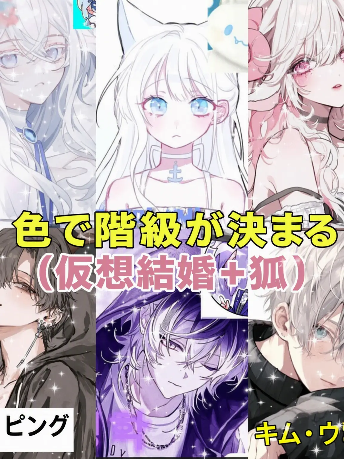Sky....like....do의 瞳の色で階級が決まる（疑似結婚+狐女）