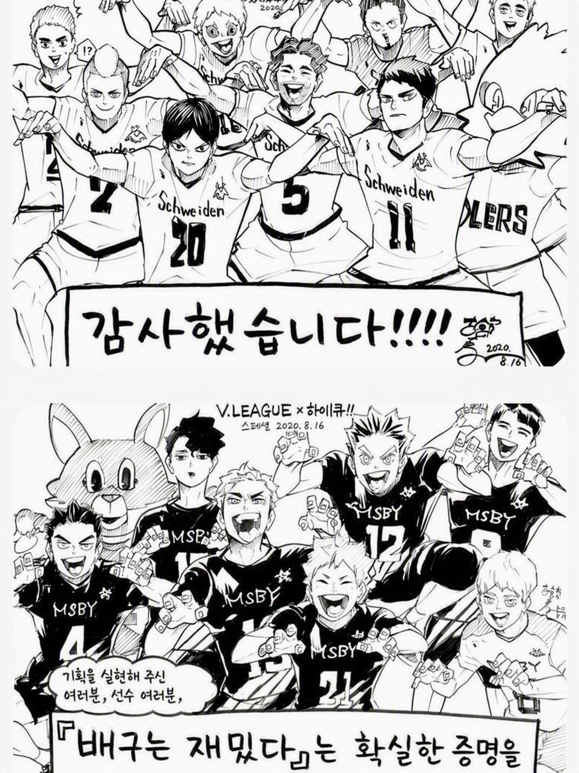 프로 선수 대표 이미지