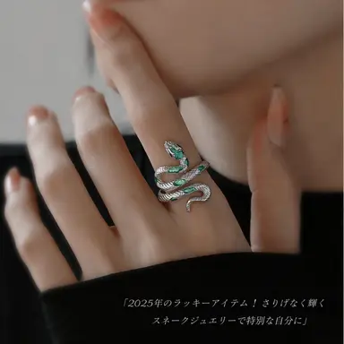 Profile image of リュ・シラキ