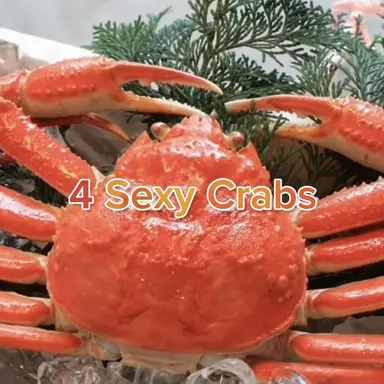 Profile image of Lewd Crab