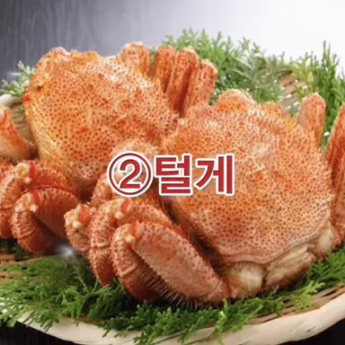Profile image of 털게