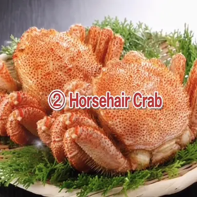 Profile image of Horsehair Crab