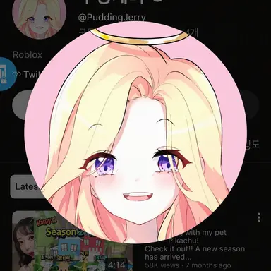 Profile image of Pudding Jerry