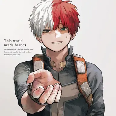 Profile image of Shoto Todoroki