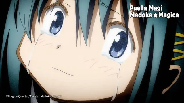 Profile image of Sayaka Miki