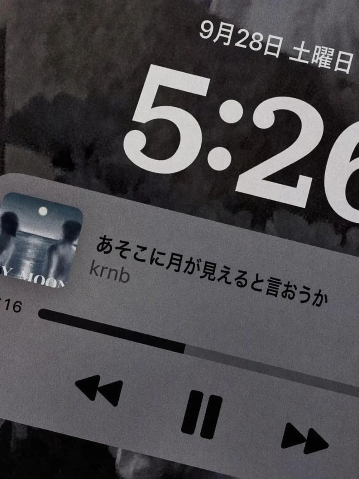 StrictDhole8259의 組織の群れ