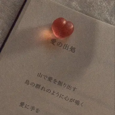 Profile image of ソ・ラダー