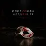 Profile image of 仮面
