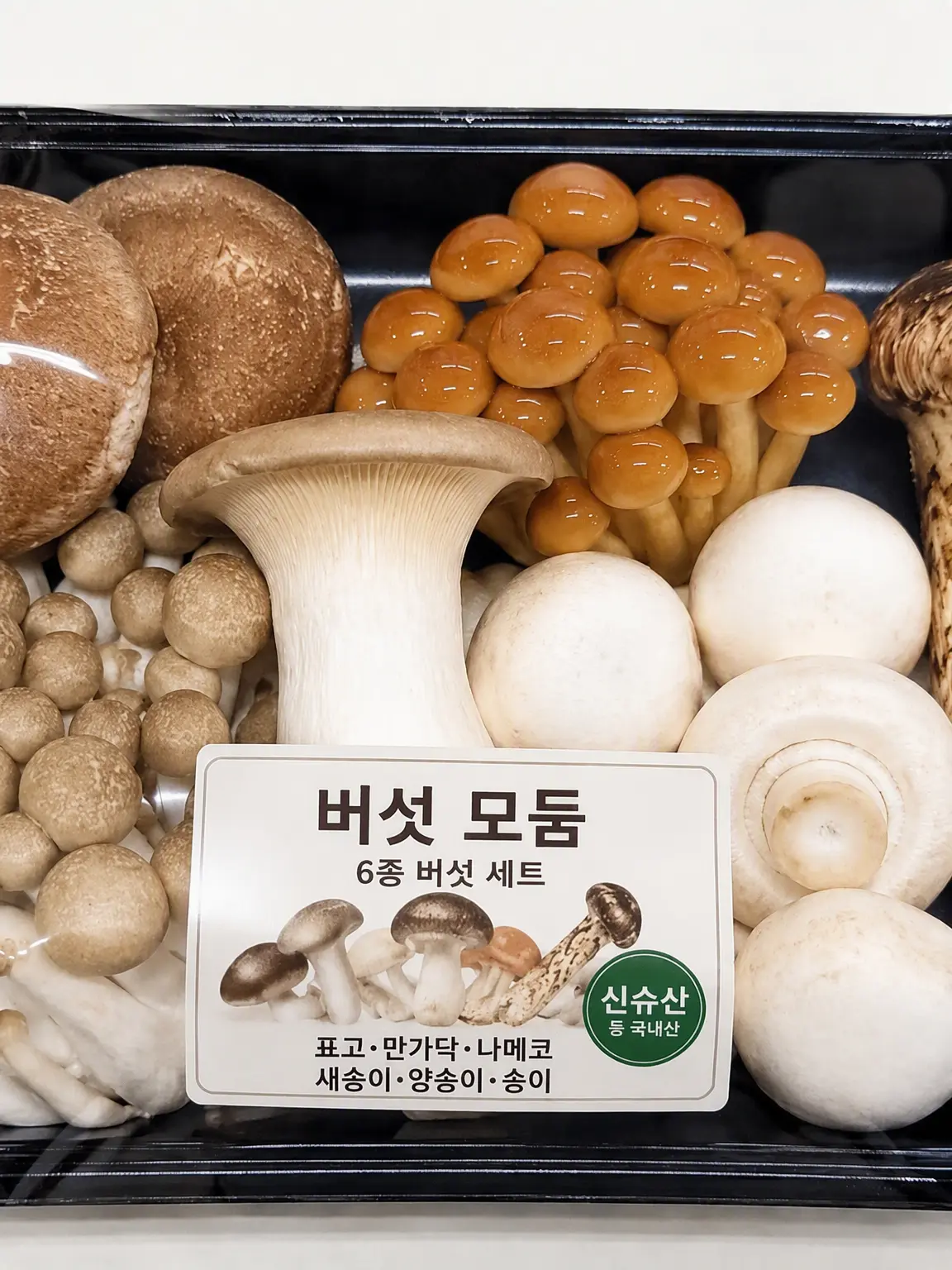 ProneSigh1496의 버섯이 말을 한다고!?