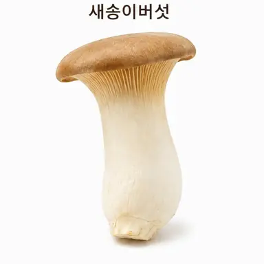 Profile image of 새송이버섯