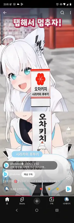 Profile image of 시라카미 후부키