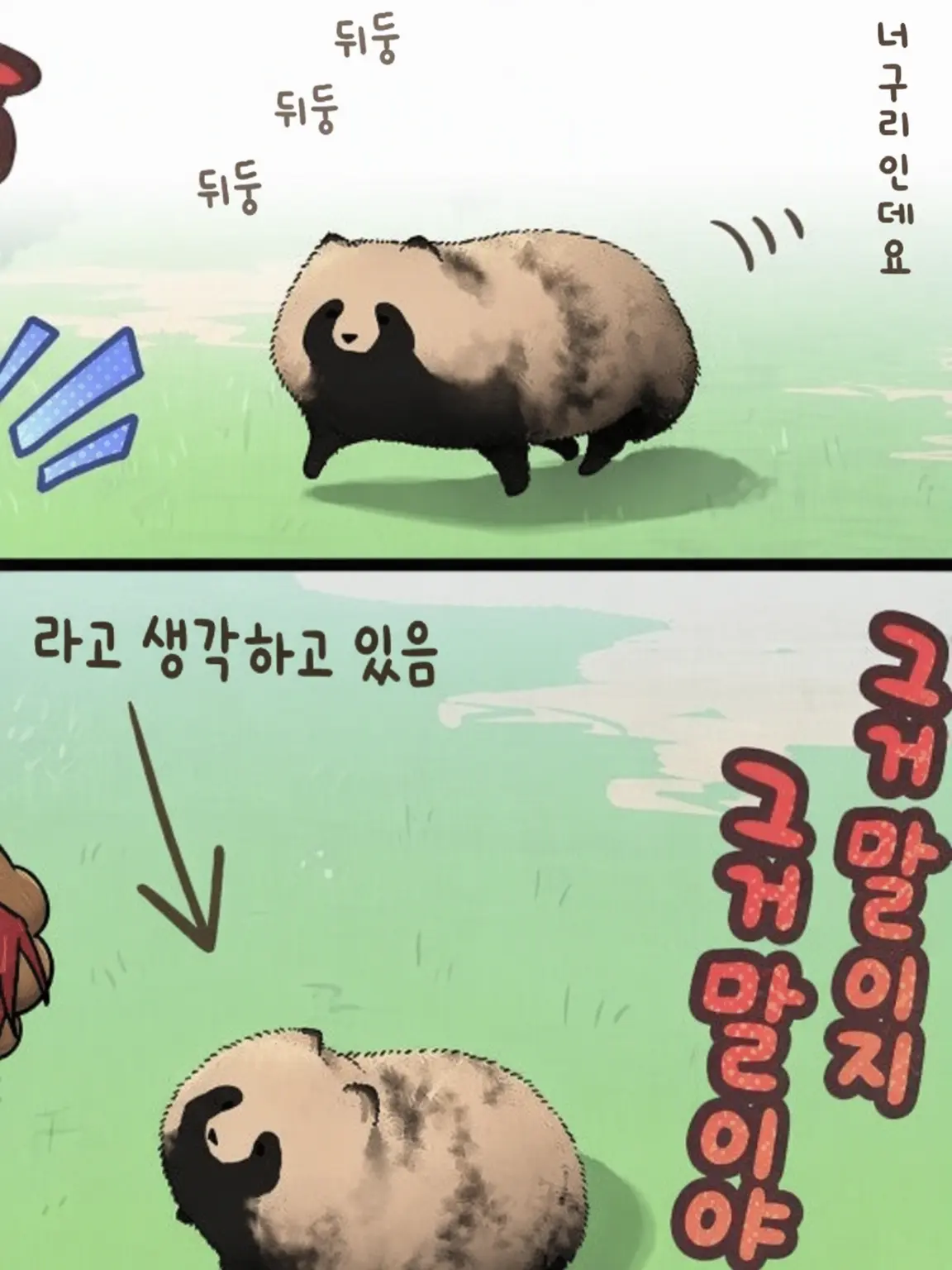 FunkyFez7511의 야생 너구리
