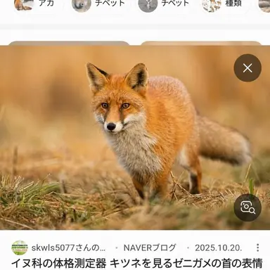 Profile image of ヨウ