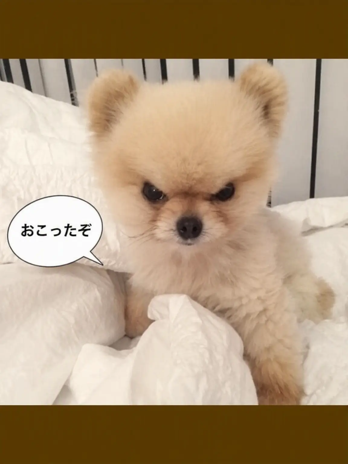 ElElElLl189의 フンハン兄妹+ユ・ギサ