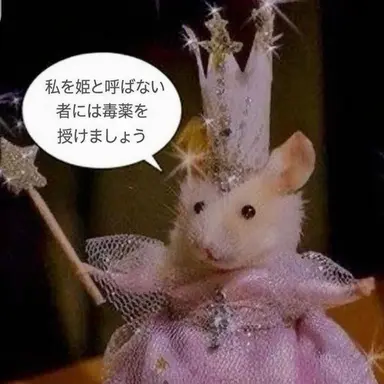 Profile image of チョ・ヒョンソ