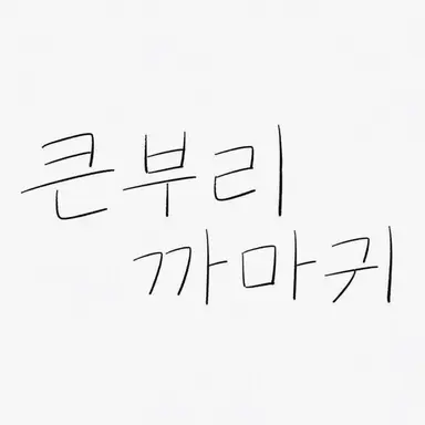 Profile image of 까마귀